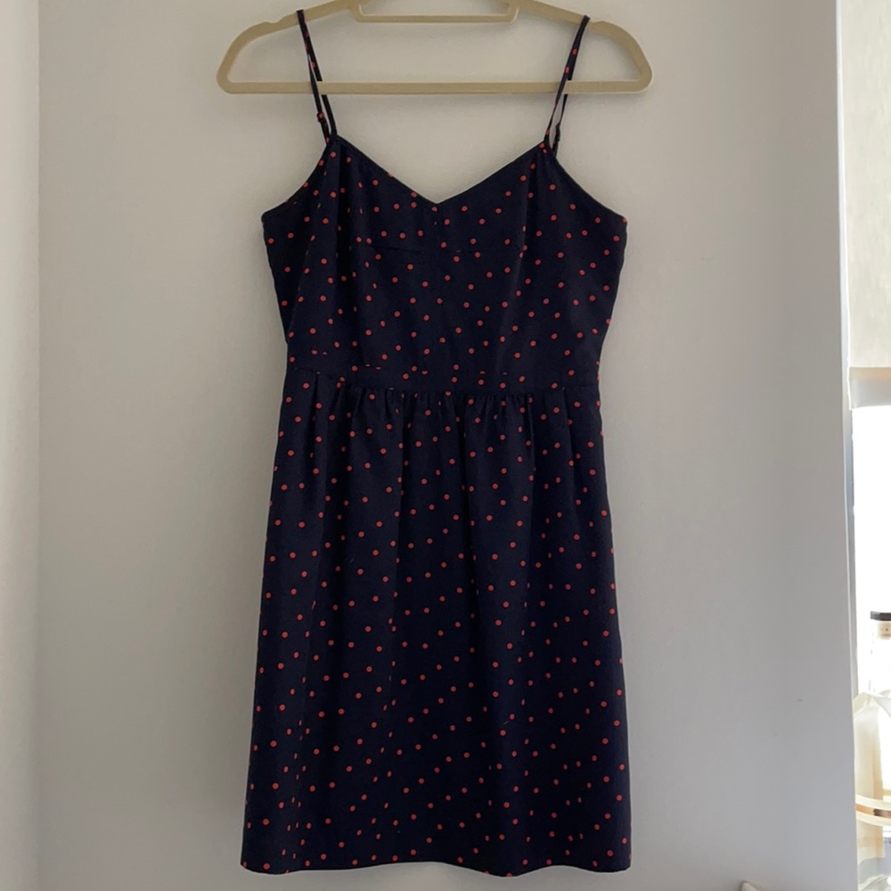 JCrew Navy and Salmon Polka Dot Dress